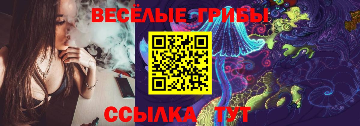 Псилоцибиновые грибы GOLDEN TEACHER Кандалакша