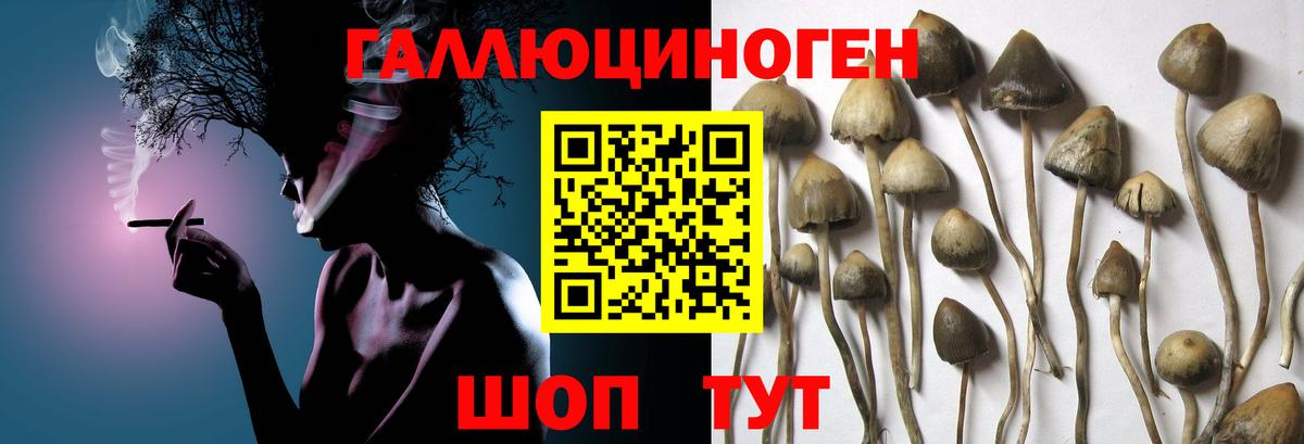 Псилоцибиновые грибы ЛСД  Вход с VPN  Кандалакша 